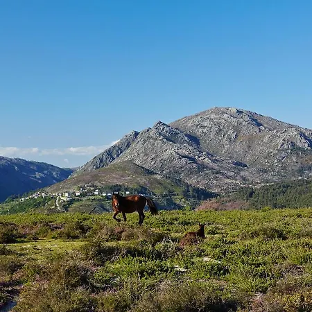 Casa Videiras * Soajo