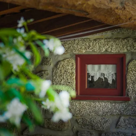 Сasa de vacaciones Casa Videiras *