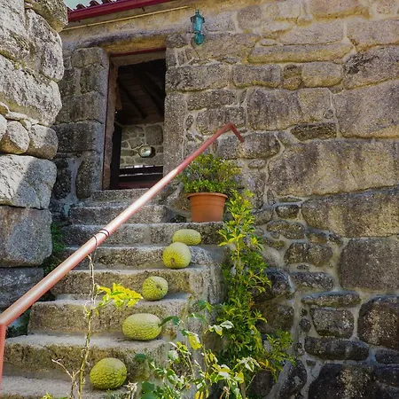 Casa Videiras Feriehus