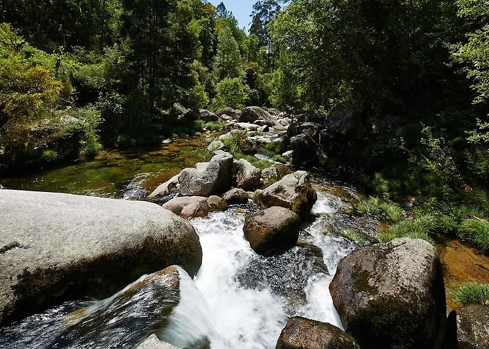 Vakantiehuis Casa Videiras *