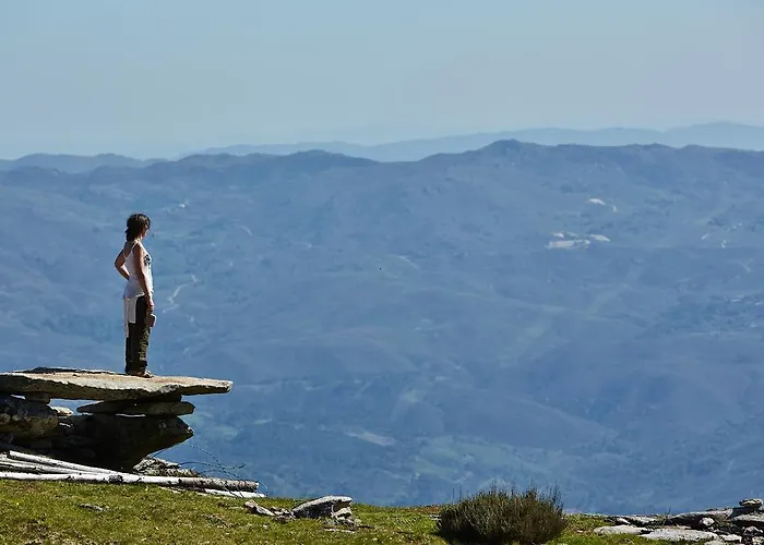 Vakantiehuis Casa Videiras *