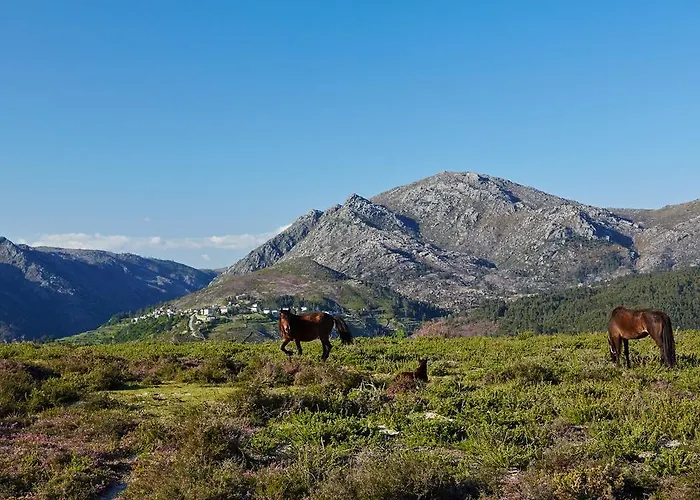 Casa Videiras * Soajo