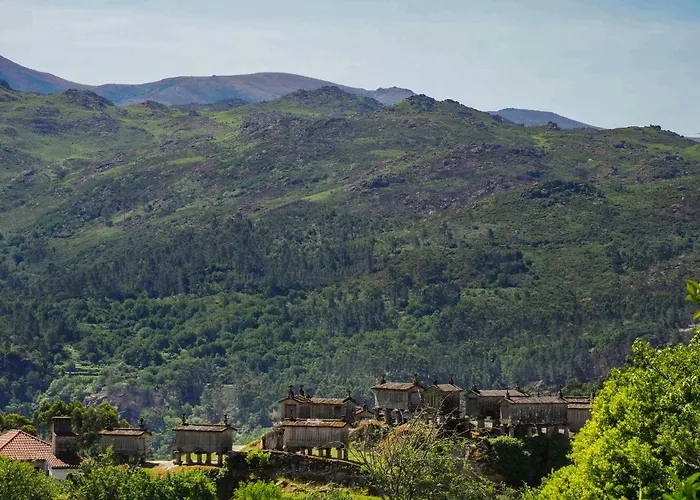 Casa Videiras 펜션